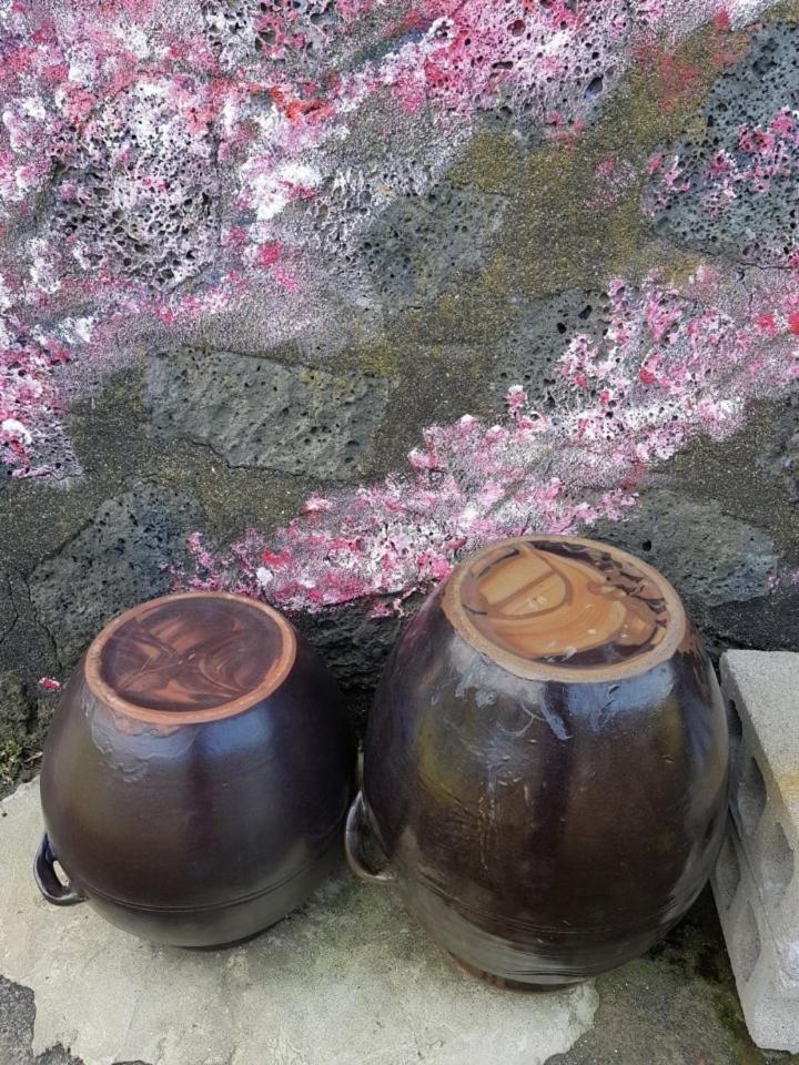 Вилла Hadori Mindfulness Чеджудо Экстерьер фото